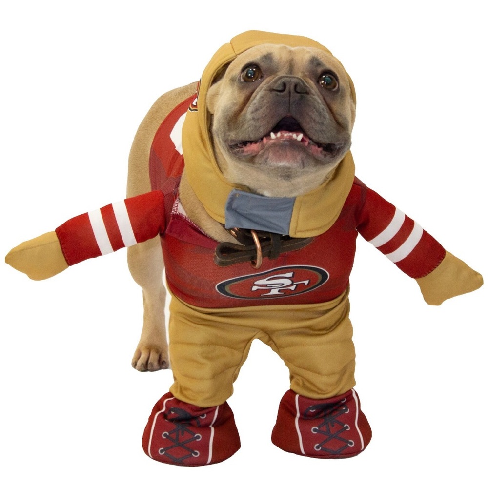 49ers dog costume